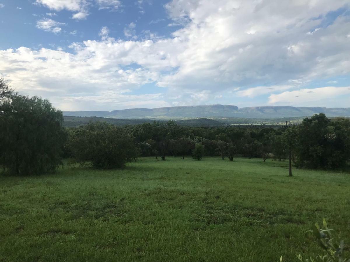Bed and Breakfast Olive Tree Farm Magaliesburg Exterior foto