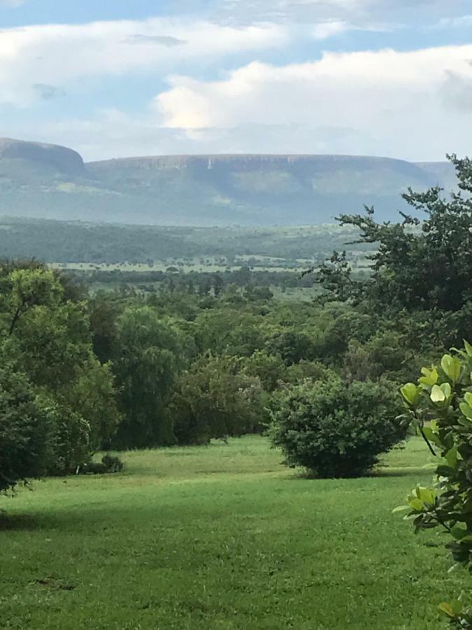 Bed and Breakfast Olive Tree Farm Magaliesburg Exterior foto