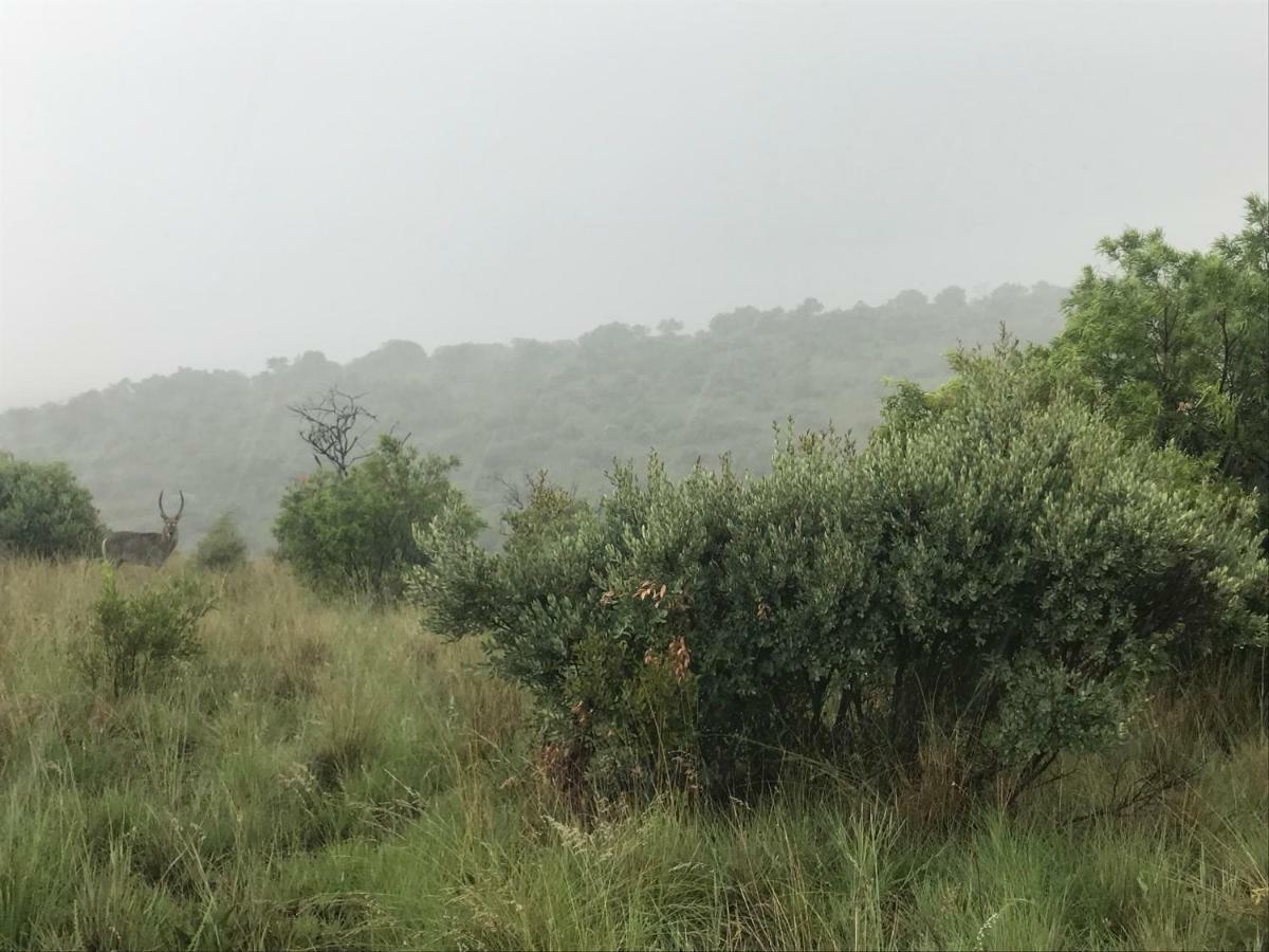 Bed and Breakfast Olive Tree Farm Magaliesburg Exterior foto