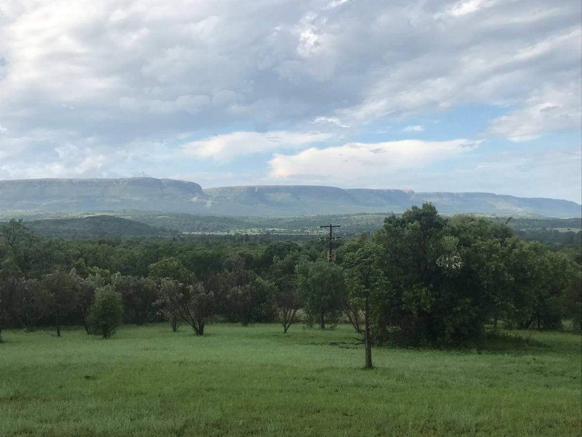 Bed and Breakfast Olive Tree Farm Magaliesburg Exterior foto