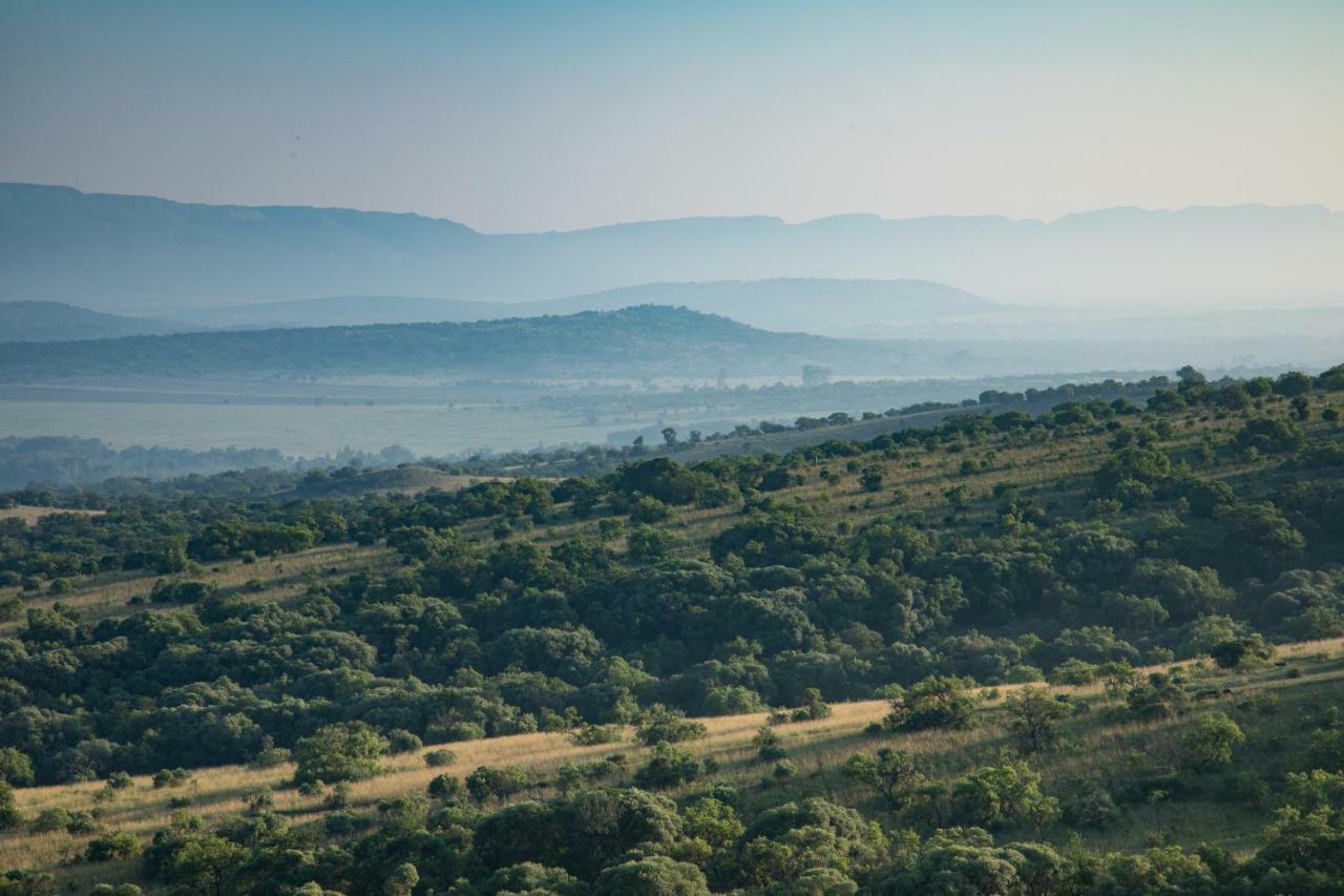 Bed and Breakfast Olive Tree Farm Magaliesburg Exterior foto