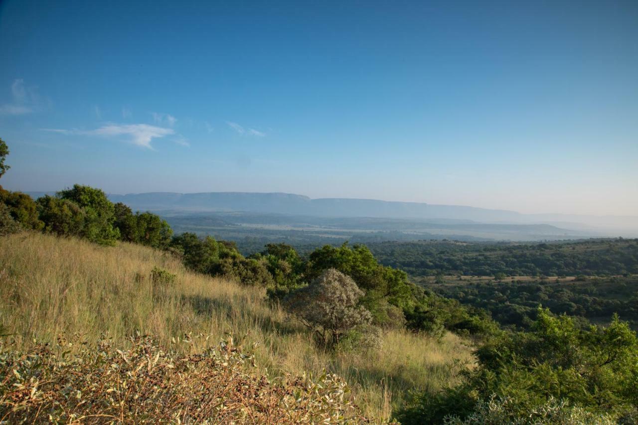 Bed and Breakfast Olive Tree Farm Magaliesburg Exterior foto
