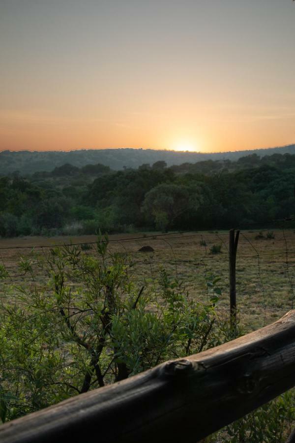 Bed and Breakfast Olive Tree Farm Magaliesburg Exterior foto